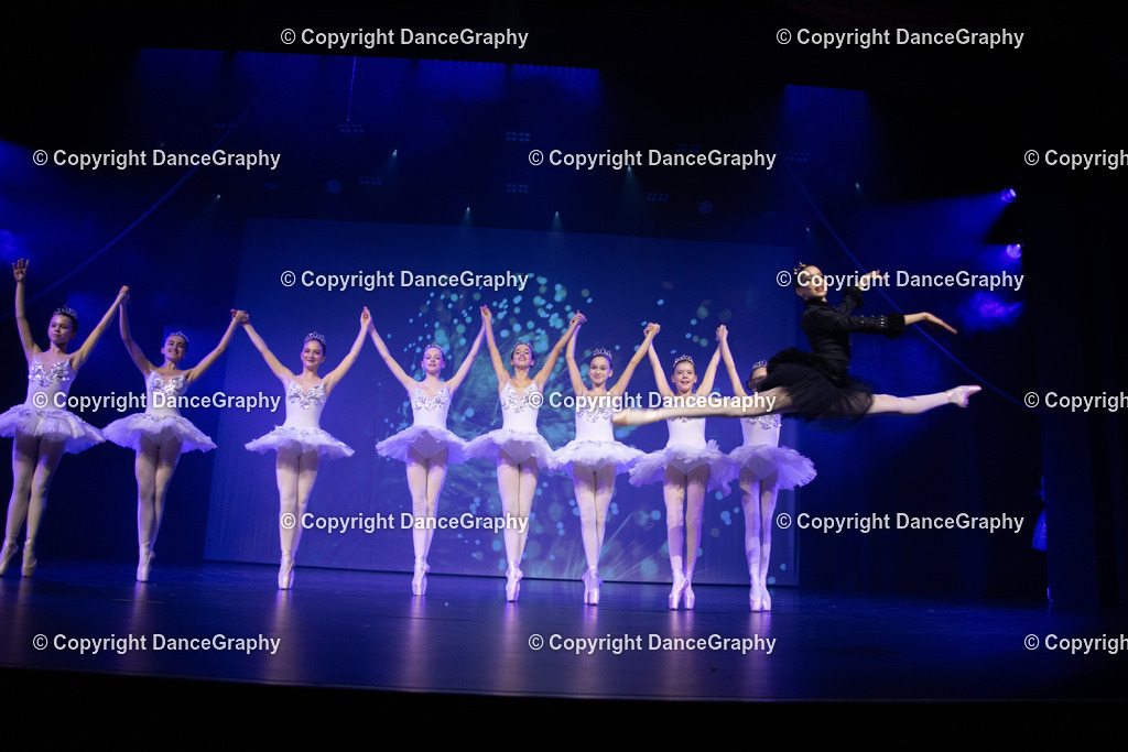 GPHY3473 | DanceGraphy - Realisiert mit Pictrs.com