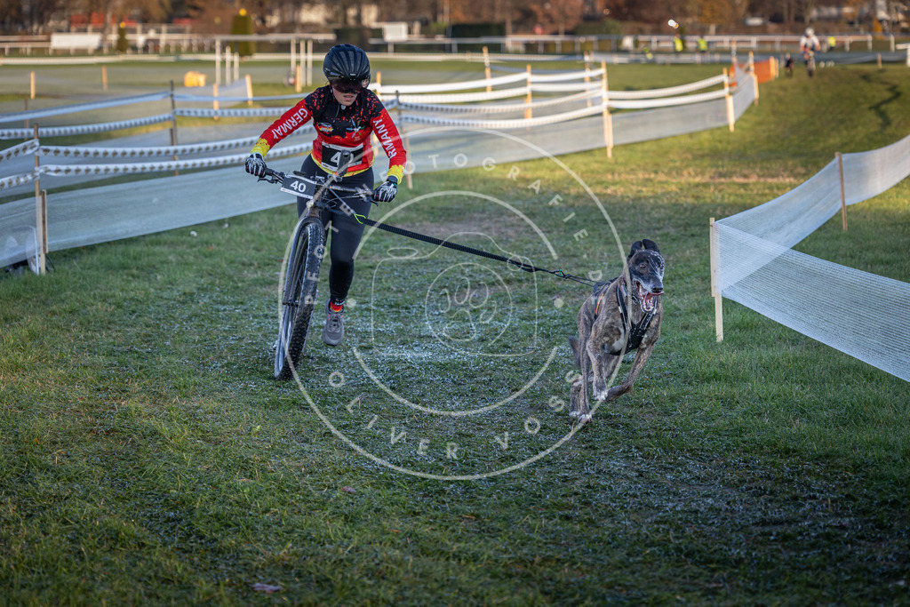 CaniXpix_0L8A2415 | Hundefotografie, Tierfotograf, Pfotenfotografie, Fotoshooting Hund, Hunde Portrait, Hundesport, Hundeportraits, Heideshooting, Hunde, Sportfotograf, Hundefotograf, Turnierhundsport, THS,  - Realisiert mit Pictrs.com