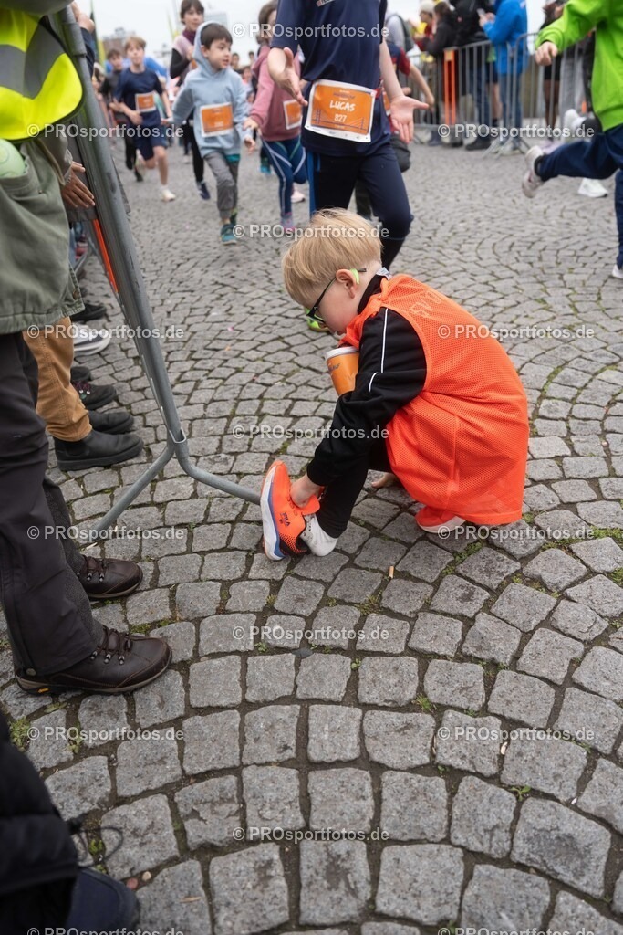 Brückenlauf, 17.05.2026 | am 17.05.2026 bei SPARDA-BANK Brückenlauf in Düsseldorf