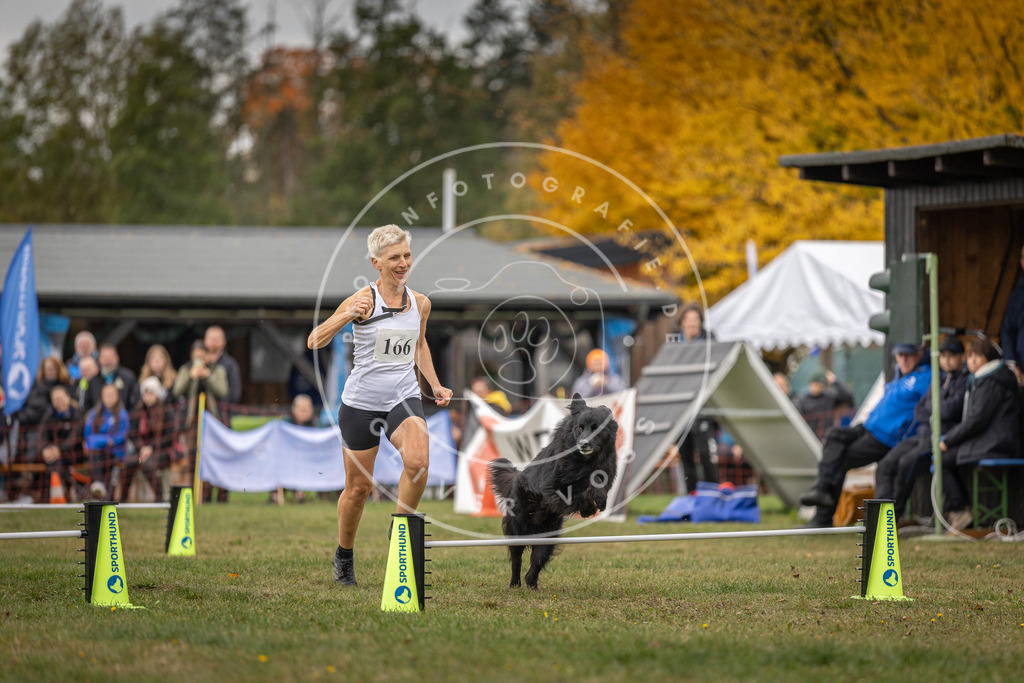 Pfotenfotografie_DV3A6265 | Hundefotografie, Tierfotograf, Pfotenfotografie, Fotoshooting Hund, Hunde Portrait, Hundesport, Hundeportraits, Heideshooting, Hunde, Sportfotograf, Hundefotograf, Turnierhundsport, THS,  - Realisiert mit Pictrs.com