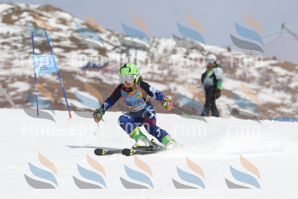 _U3G2172 | holidayphoto