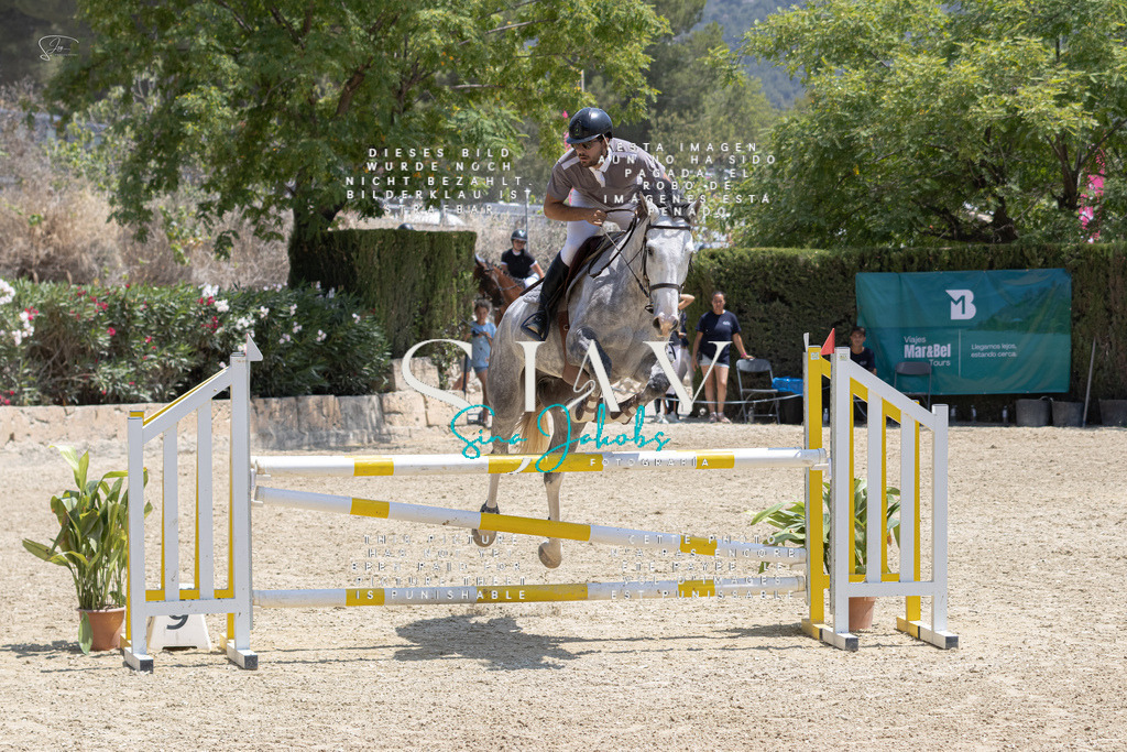 IMG_2303 | s-jay-photography - Realisiert mit Pictrs.com