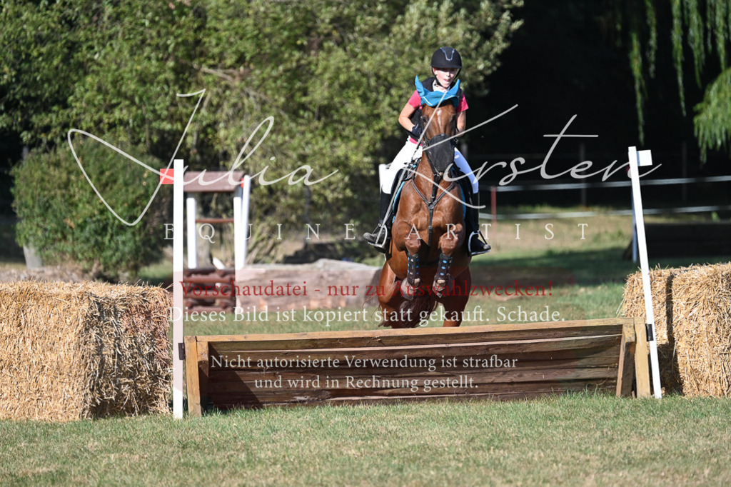DSC_8928 | Pferde- und Turnierfotografie in Westsachsen. Pferdeportraits, Auftragszeichnungen und intuitive Kunst.