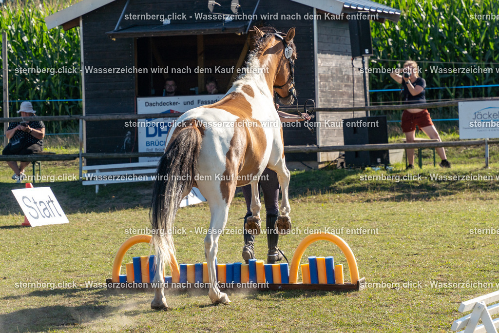 2026-08-08_16-07-15_WBO_Pulsnitz | sternberg.click - Realisiert mit Pictrs.com