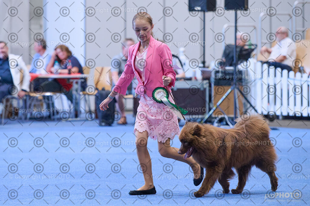 202406_ÖKV-IHA-Tulln24_DSC_3941 | proPHOTO - Realisiert mit Pictrs.com