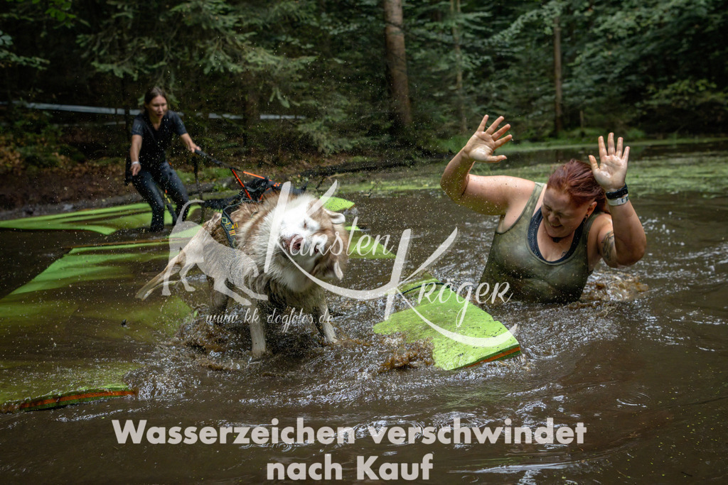 1548_ZZ92077-Bearbeitet | kk-dogfotos