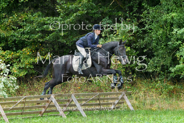 Jagd Perdoel_MarinaHewigMCH04497 | Fotografie, FotoArt, PferdesportArt, Pferdesportfotografie, Landschaftsfotografie, Reisefotografie, Reise, Pferde - Realisiert mit Pictrs.com