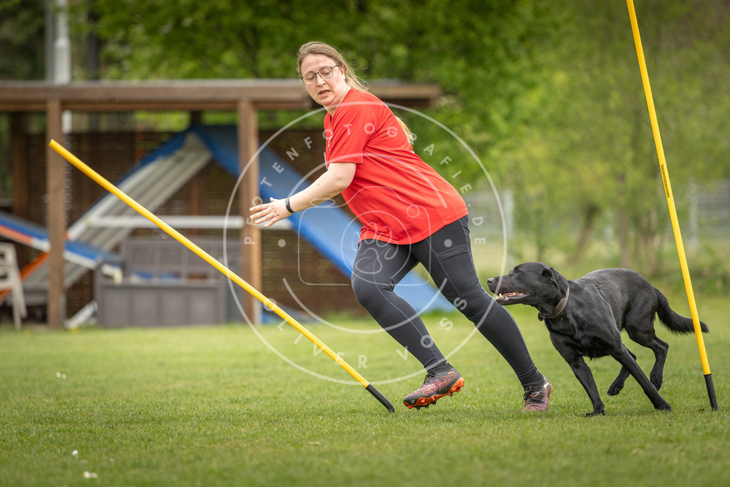 Pfotenfotografie_DV3A0393 | Hundefotografie, Tierfotograf, Pfotenfotografie, Fotoshooting Hund, Hunde Portrait, Hundesport, Hundeportraits, Heideshooting, Hunde, Sportfotograf, Hundefotograf, Turnierhundsport, THS,  - Realisiert mit Pictrs.com