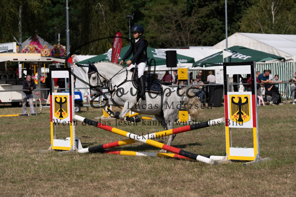 A7V08658 | Pferdefotograf