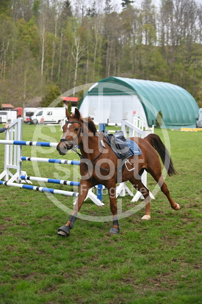 DSC_2484 | sattelsport - Realisiert mit Pictrs.com