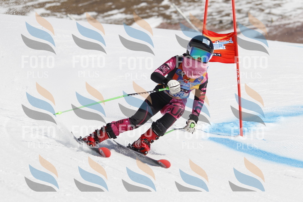 _U3G9568 | holidayphoto