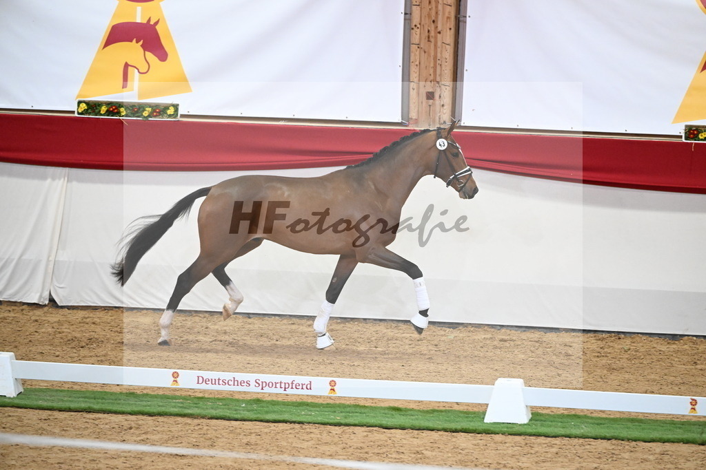 Kat.-Nr. 43 v. Benicio_Fleischmann_2250028 | hf-fotografie - Realisiert mit Pictrs.com