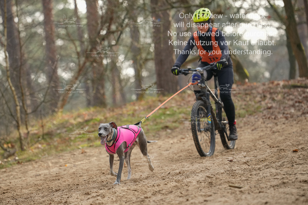 Bike1-264 | stephaniefillaphotographie - Realisiert mit Pictrs.com