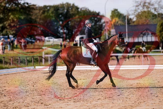 2026_10_03_Siefer-Hof_123138_Z81_30075148 | Professionelle Reitsport-, Turnier- und Eventfotografie von Robert Broda. Galerien mit ausgewählten und bearbeiteten Bildern direkt online ansehen und bestellen.