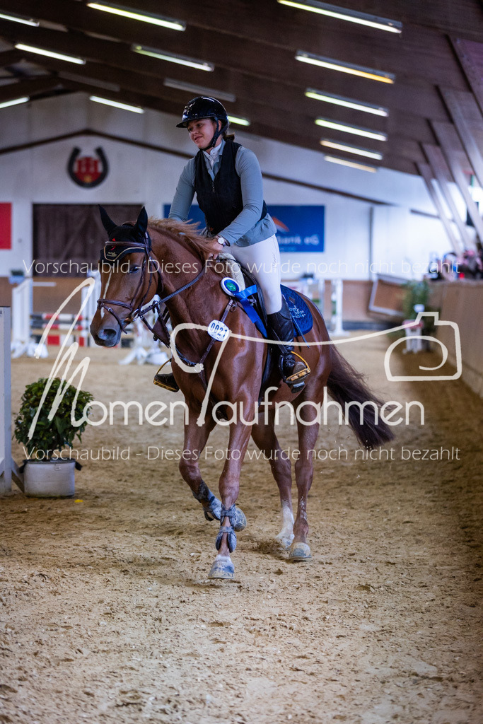 Sth-Gewöhnung-045 | MomenTaufnahmen Pferdesportfotos