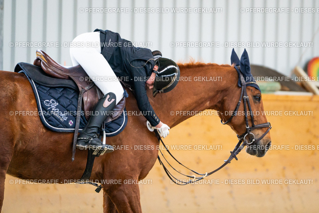 DSC01344 | Pferdegrafie