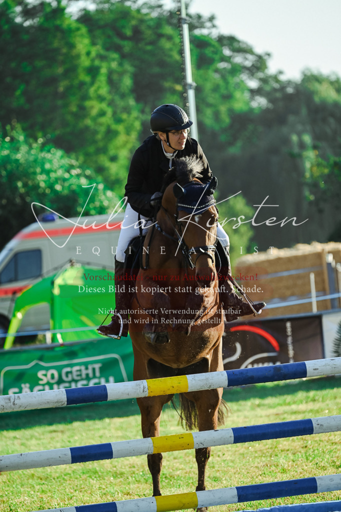 DSC_3898 | Pferde- und Turnierfotografie in Westsachsen. Pferdeportraits, Auftragszeichnungen und intuitive Kunst.