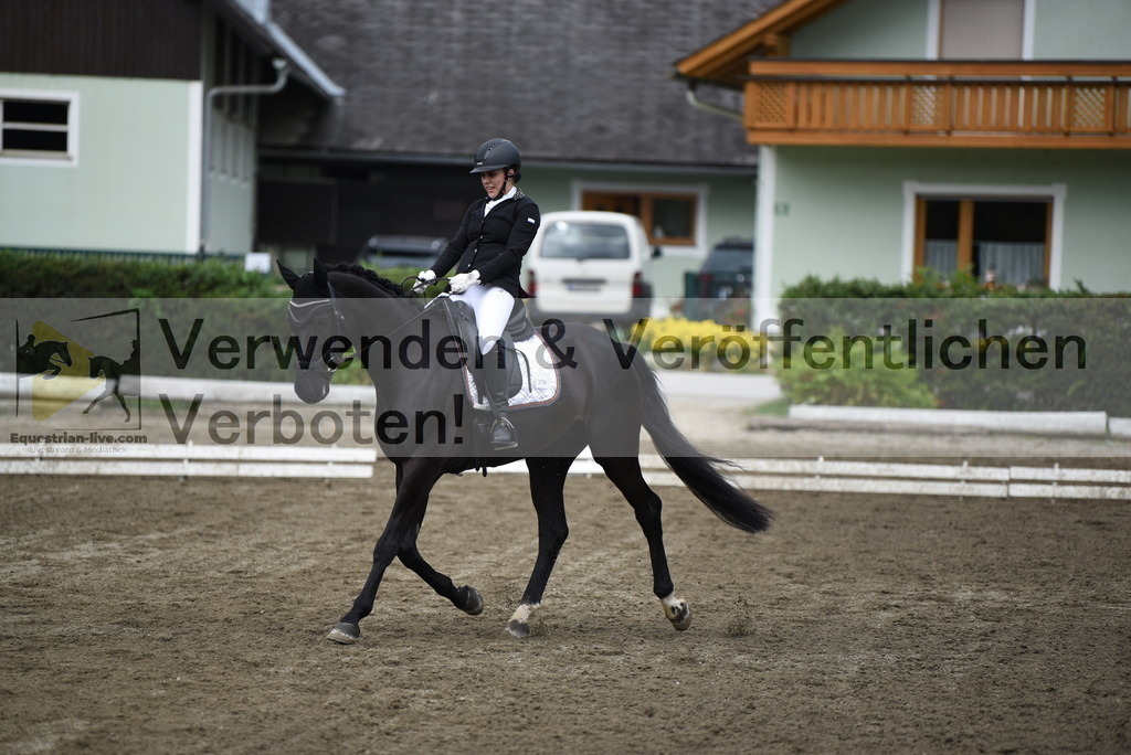 DSC_4369 | equestrian-live-com