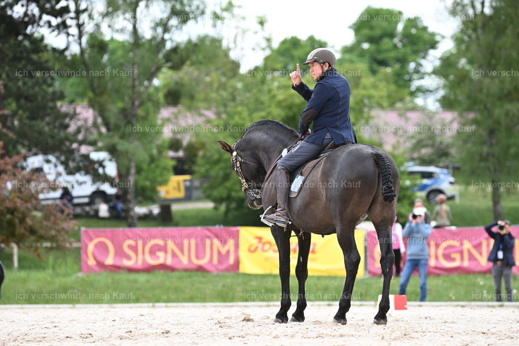 PI26_ST_Sara_Landvogt226_3086.JPG | working equitationturnier fotograf videograf stoibphotography marixx film working equitation deutschland reitsport turnierfotografie eventfotografie equestrian events