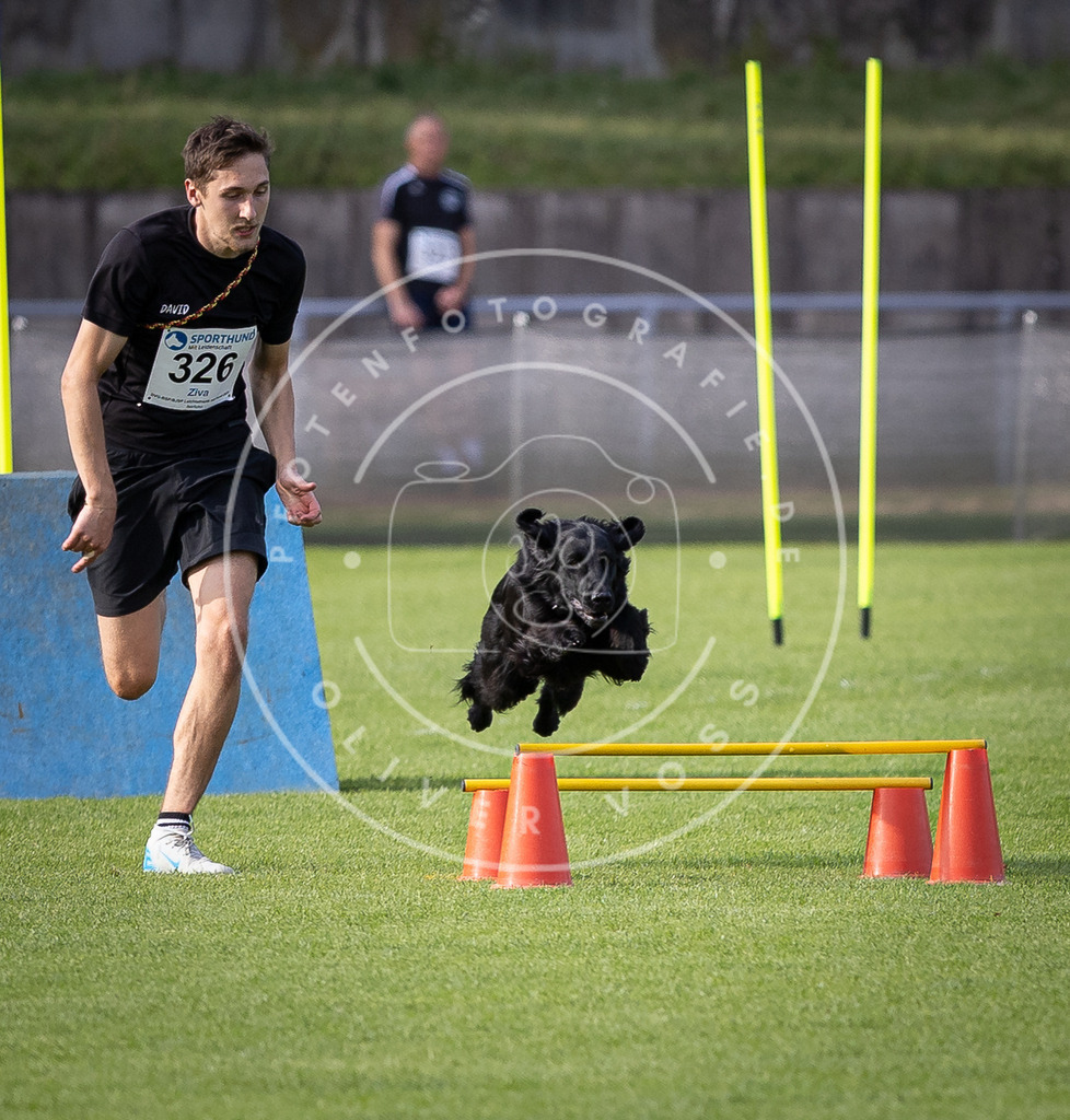 Pfotenfotografie_DV3A2866 | Hundefotografie, Tierfotograf, Pfotenfotografie, Fotoshooting Hund, Hunde Portrait, Hundesport, Hundeportraits, Heideshooting, Hunde, Sportfotograf, Hundefotograf, Turnierhundsport, THS,  - Realisiert mit Pictrs.com