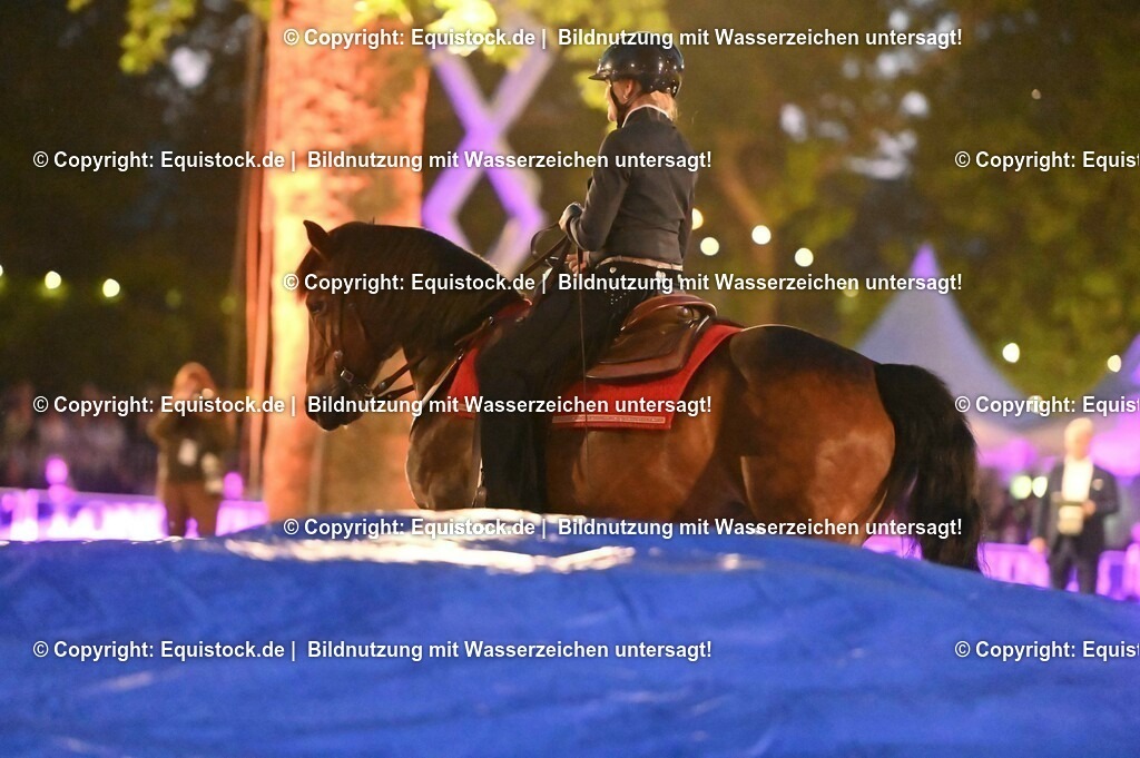 20230526_Pferdenacht_1038 | equistock