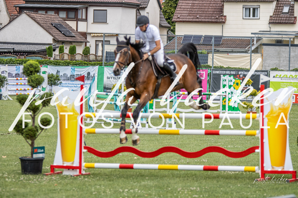 IMG_7133 | Erleben Sie dynamische Sport- und emotionale Tierfotografie in Süddeutschland mit Fotos von Paula. Spezialisiert auf Pferde- und Hundefotografie sowie Sportevents. Kontaktieren Sie mich für einzigartige und ausdrucksstarke Bilder Ihrer besonderen Momente. - Realisiert mit Pictrs.com