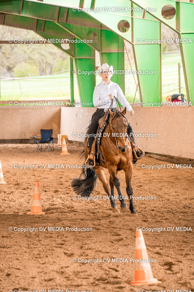 BAL00668 | dv-media-shop - Realisiert mit Pictrs.com