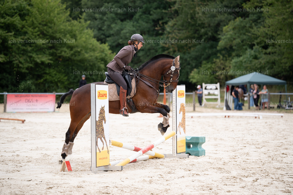 WL_ST_74_stoibphotography__SO10916 | working equitationturnier fotograf videograf stoibphotography marixx film working equitation deutschland reitsport turnierfotografie eventfotografie equestrian events