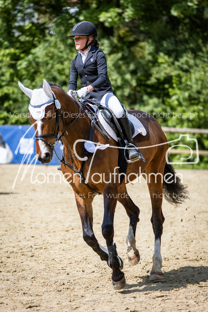 Donop24-SprRW-064 | MomenTaufnahmen Pferdesportfotos