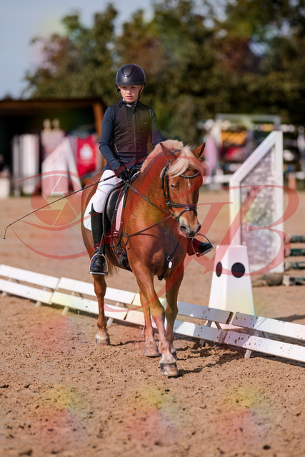 2026_10_03_Siefer-Hof_120031_Z81_02412382 | Professionelle Reitsport-, Turnier- und Eventfotografie von Robert Broda. Galerien mit ausgewählten und bearbeiteten Bildern direkt online ansehen und bestellen.