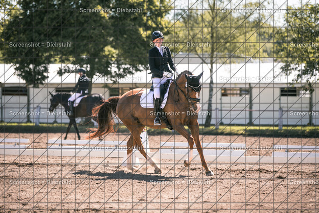 _W6A1903 | ronjaprokoschfotografie - Realisiert mit Pictrs.com