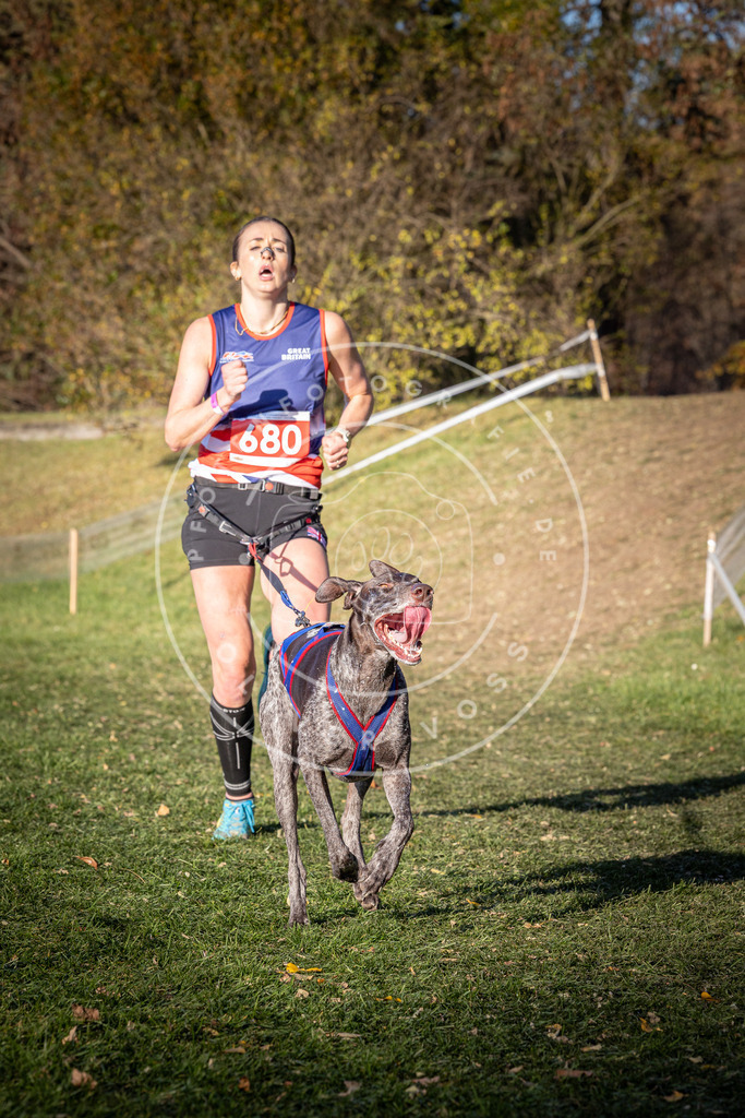 CaniXpix_0L8A9276 | Hundefotografie, Tierfotograf, Pfotenfotografie, Fotoshooting Hund, Hunde Portrait, Hundesport, Hundeportraits, Heideshooting, Hunde, Sportfotograf, Hundefotograf, Turnierhundsport, THS,  - Realisiert mit Pictrs.com