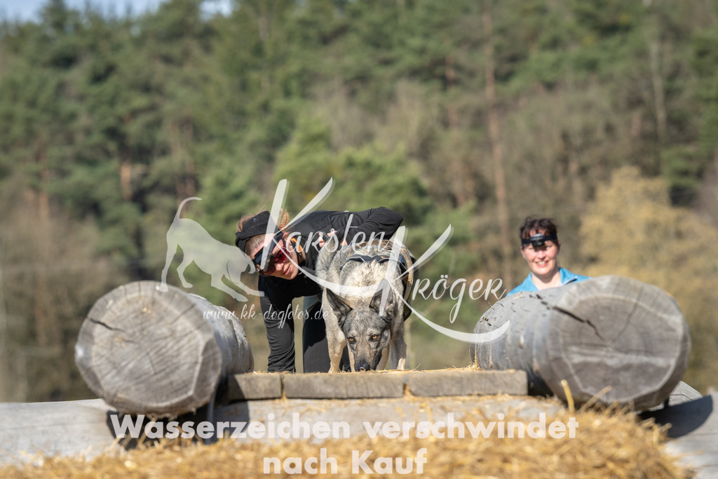 1005_ZZ98672 | kk-dogfotos