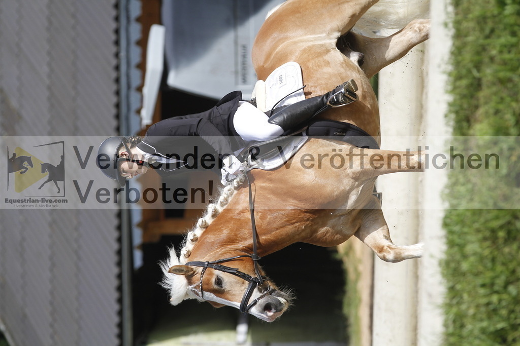 _MG_0337 | equestrian-live-com