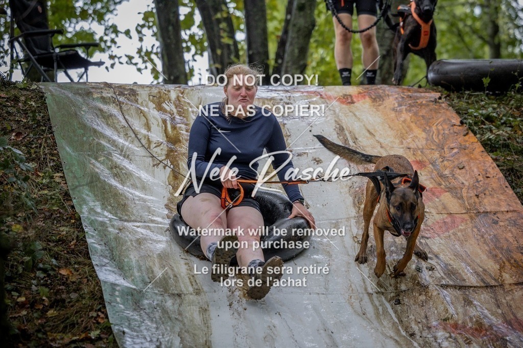 nelerasche_Hunsrück_Sa1430-1500_86-final | nelerasche