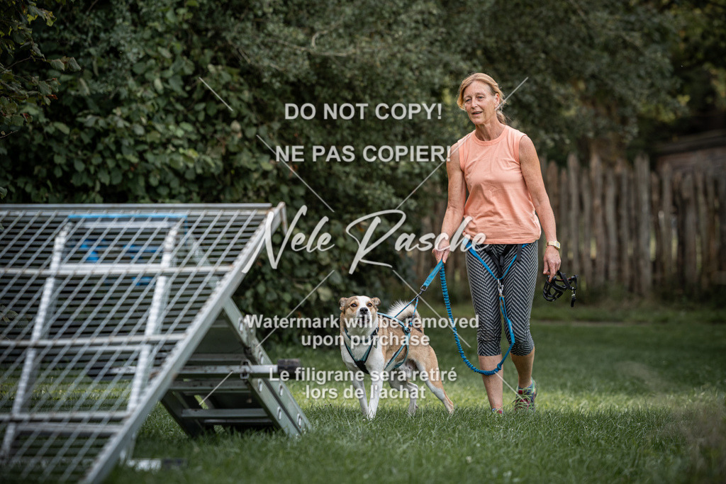 nelerasche_SoLauf_91 | nelerasche