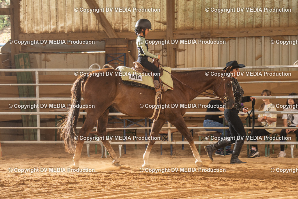 NID03295 | dv-media-shop - Realisiert mit Pictrs.com