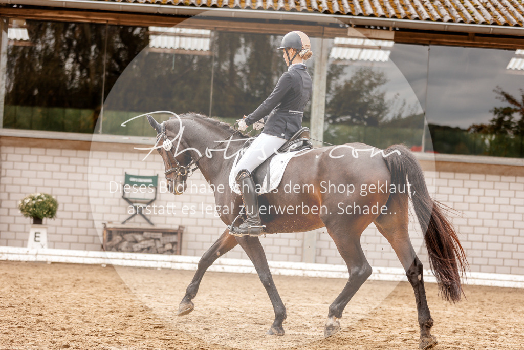 3I6A7756 | Stimmungsvolle Portraits und Reitsportfotografie im Ruhrgebiet und im Münsterland.

Pferdefotografie, Hundefotografie, Tierfotografie, Reportagen, Portraits von Tier und Mensch, Turnierfotografie in Bochum, Recklinghausen, Marl, Haltern am See, Dülmen.. - Realisiert mit Pictrs.com