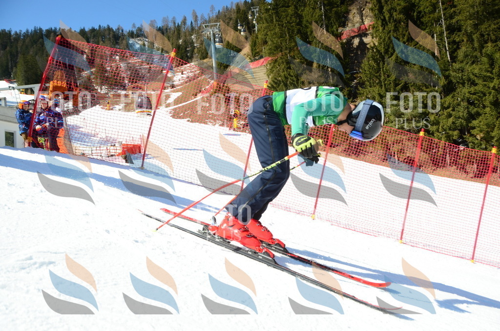 C6872 | holidayphoto