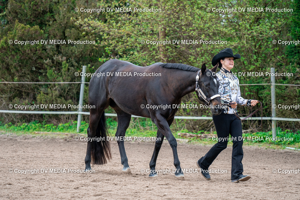 BA300222 | dv-media-shop - Realisiert mit Pictrs.com