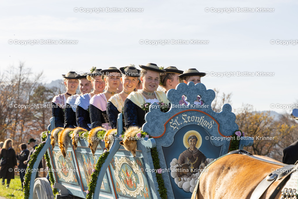 LBT24-1526 | foto-bettina-krinner - Realisiert mit Pictrs.com
