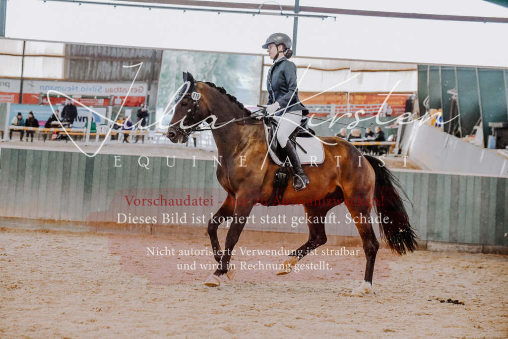 DSC_7632 | Pferde- und Turnierfotografie in Westsachsen. Pferdeportraits, Auftragszeichnungen und intuitive Kunst.