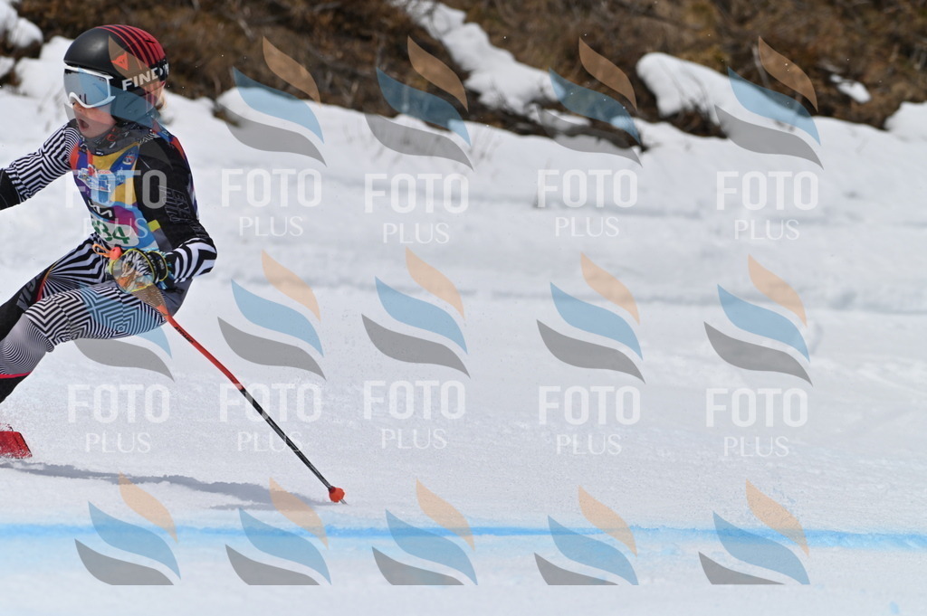 BGV_4652 | holidayphoto