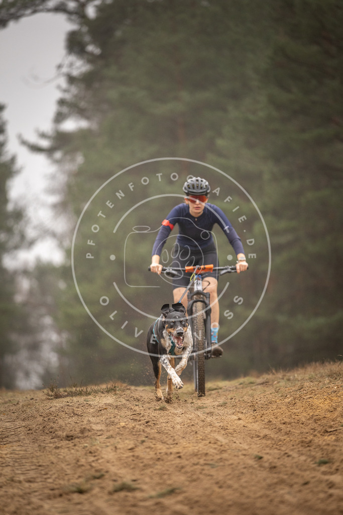 Pfotenfotografie_DV3A2789 | Hundefotografie, Tierfotograf, Pfotenfotografie, Fotoshooting Hund, Hunde Portrait, Hundesport, Hundeportraits, Heideshooting, Hunde, Sportfotograf, Hundefotograf, Turnierhundsport, THS,  - Realisiert mit Pictrs.com