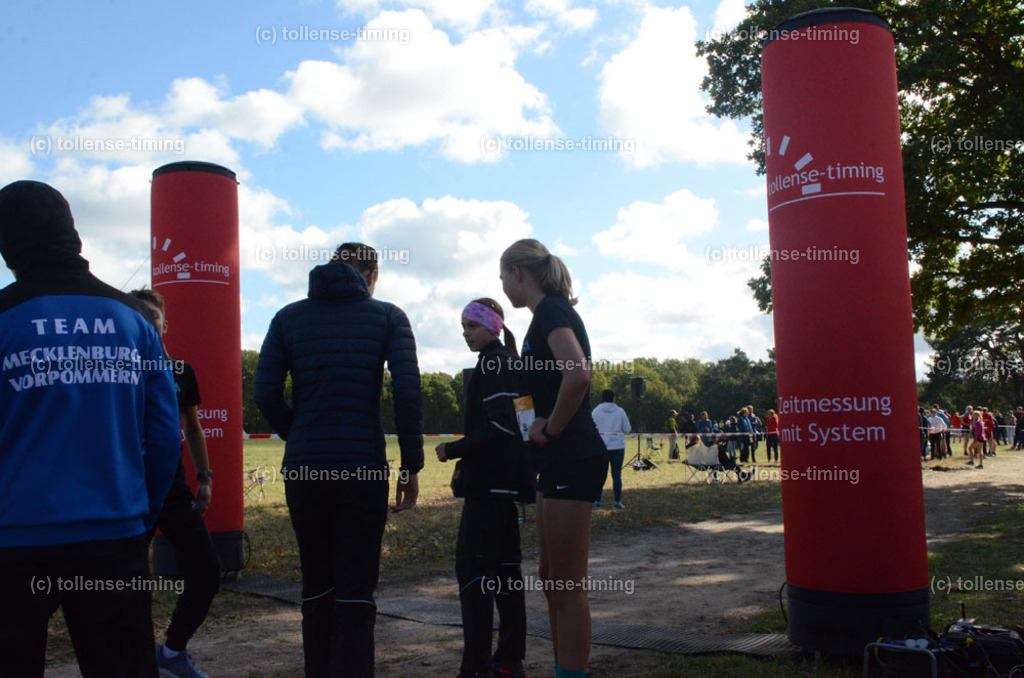 TTT_8847 | Foto | tollense-timing - Realisiert mit Pictrs.com