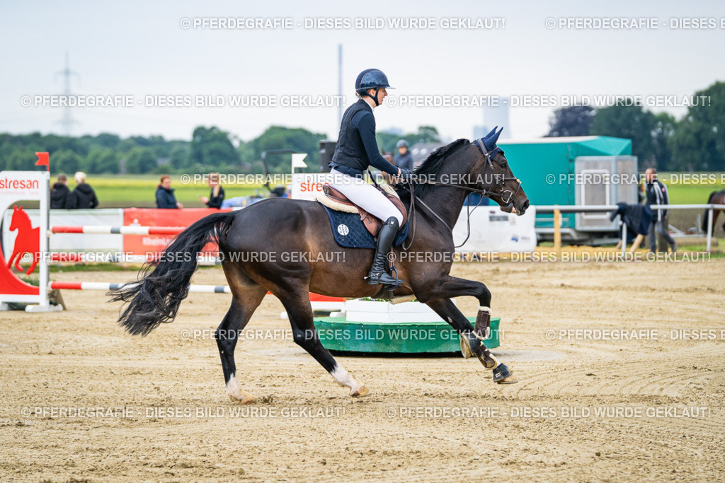 DSC05446 | Pferdegrafie