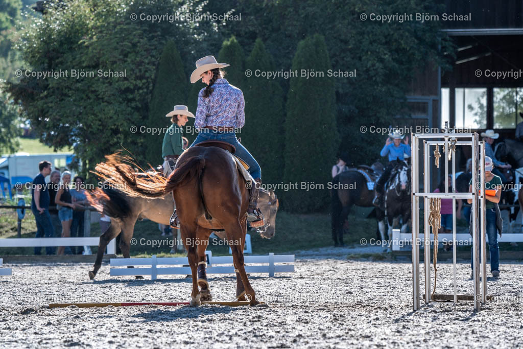 HOB09669 | BS-foto