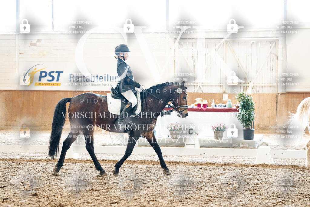 CK900026 | Turnierfotografie Pferdefotografie Trier Rheinland-Pfalz Pferdesport Reitsport Tierfotografie Sportfotografie Pferdevideo Pferdevideografie Equestrianvideography equestrianphotography  - Realisiert mit Pictrs.com