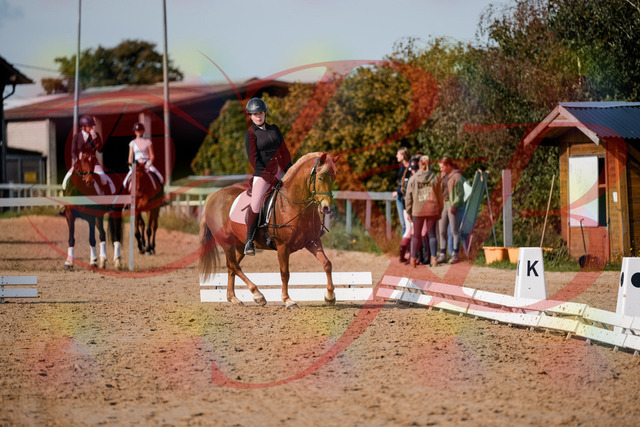 2026_10_03_Siefer-Hof_122042_Z63_43806636 | Professionelle Reitsport-, Turnier- und Eventfotografie von Robert Broda. Galerien mit ausgewählten und bearbeiteten Bildern direkt online ansehen und bestellen.