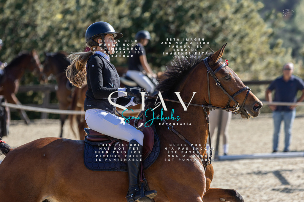 IMG_6426 | s-jay-photography - Realisiert mit Pictrs.com